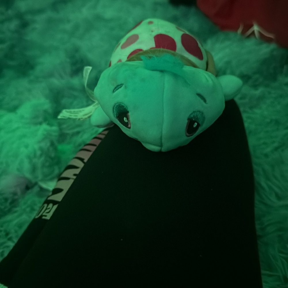 Turtle - Picture 6 of 8